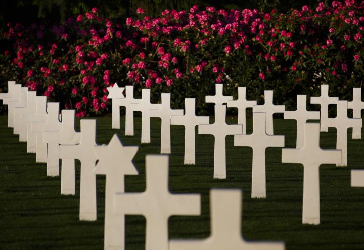 Marble headstones are perfectly aligned near flowering bushes.