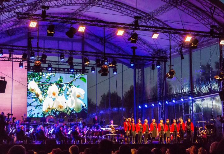 Royal Harmonie Sainte Cecile performs at Netherlands American Cemetery.