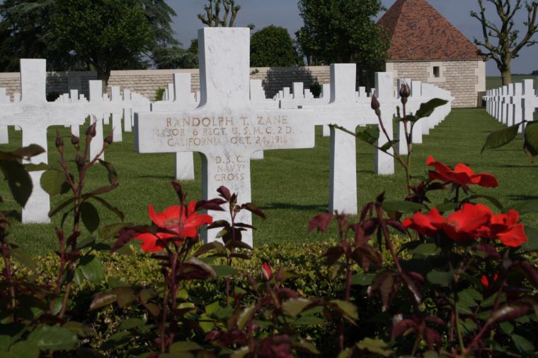 Rose Bushes at Somme American Cemetery